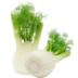 fenouil-fiche-bonduelle