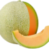 melon-fiche-bonduelle