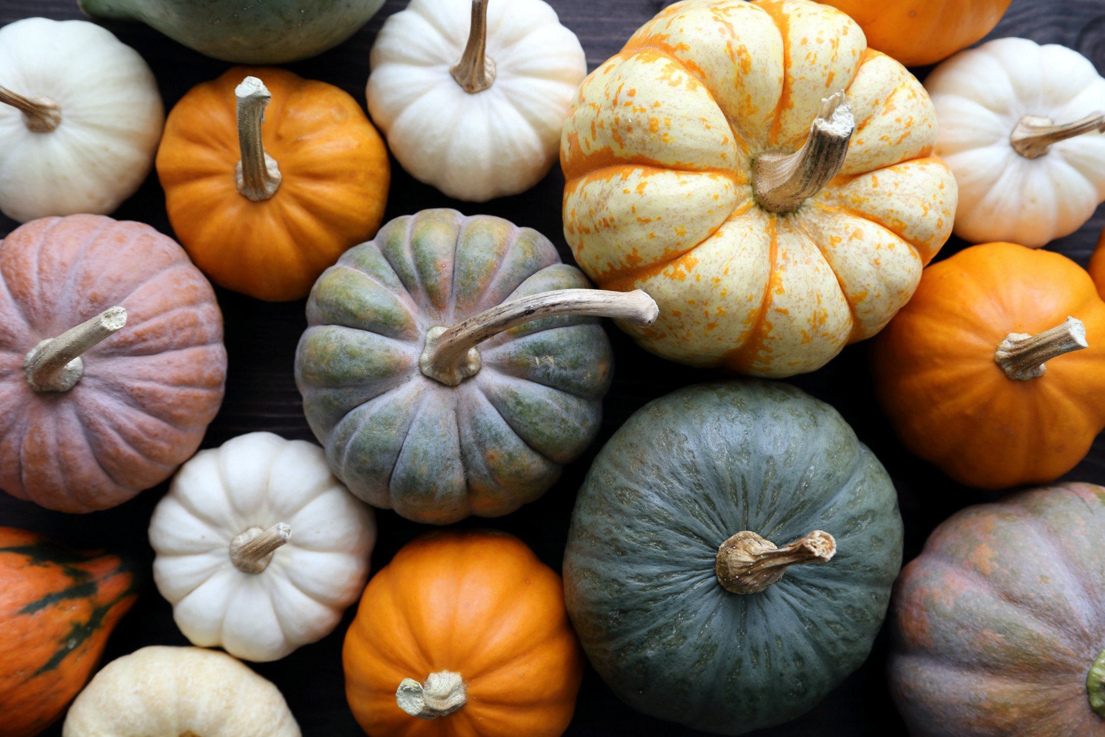 courge