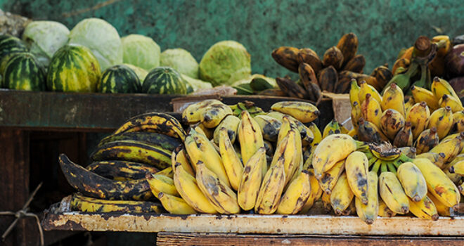 agriculture-urbaine-cuba