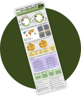 figure5-infographieenjeux figure5-infographieenjeux