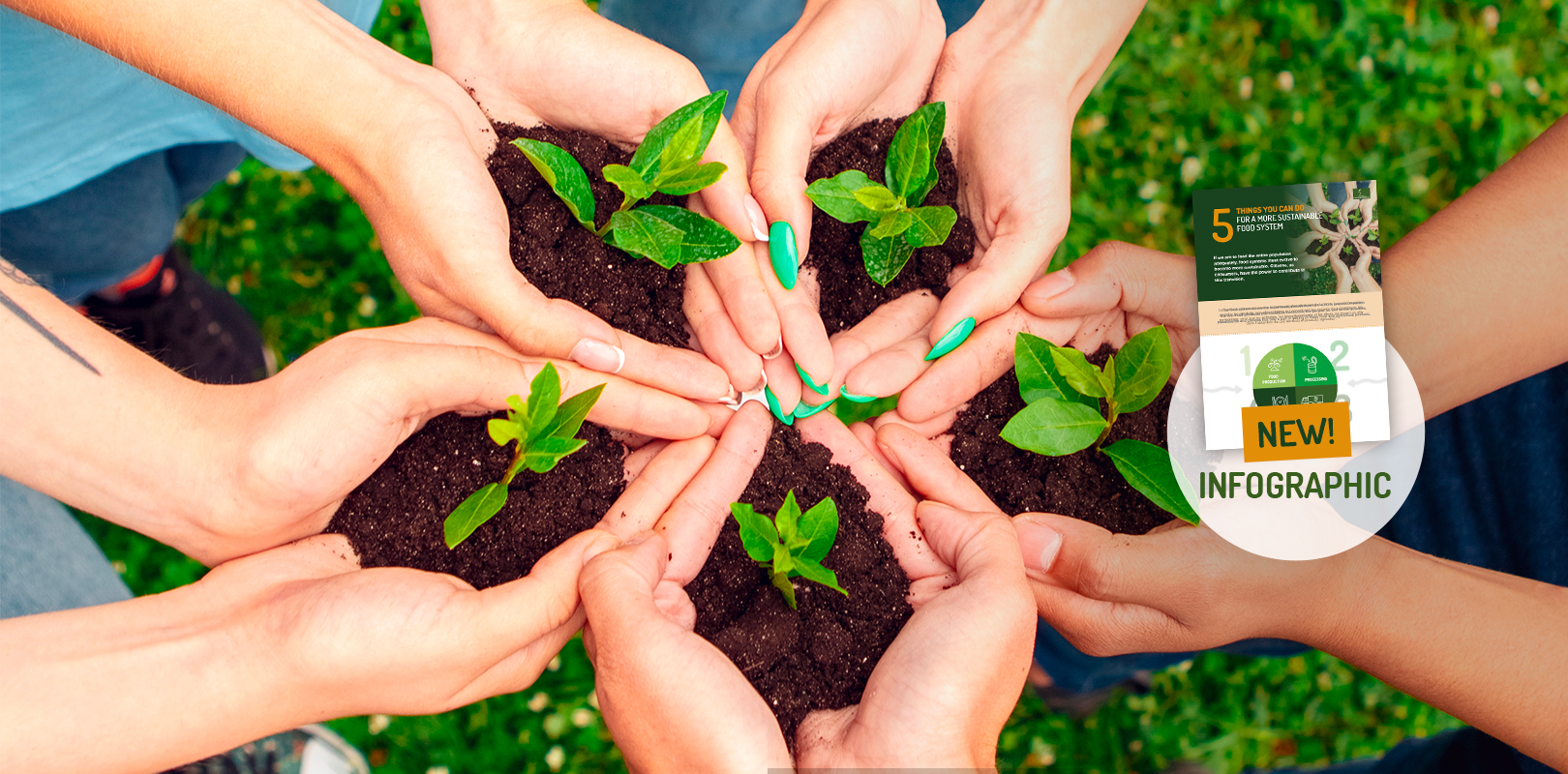 action-for-sustainable-food-systems