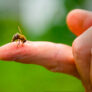 biodiversite-comment-agir-preserver-nouveau